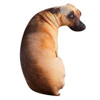 Minkšta, gyvos išvaizdos gyvūno pagalvė-mėtyklė Šuo Pliušinis Kūrybinga pagalvėlė 3D šuns pagalvė Biurui 50cm smėlis