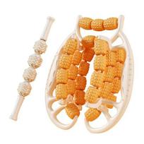 29 Roller Leg Massage Anti-Cellulite Lymphatic Drainage Deep Tissue Therapy Thighs Arm Back Shoulder Muscle Relaxation Massage Stick oranžinė