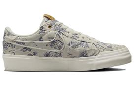 Nike Sb Zoom Pogo Plus Premium City Of Style Women's FQ1882-100 42 gray