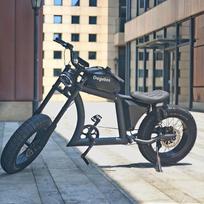 FT-02 20 inch electric bike with top quality Bafang motor
