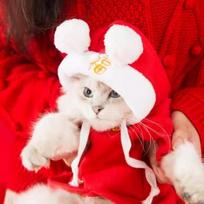 Chinese New Year cat clothes cute double hairball festive cat and kitten New Year's greeting hooded dog thin velvet pet sweater M (recommended weight 5-4kg) white