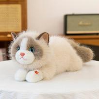 Mielas Ragdoll katės pliušinis žaislas Vaikų raminanti, kviečianti katės lėlė Mielas augintinis Namų puošmena Gimtadienio dovana 55cm【0.62kg】 ruda