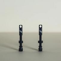 Canada TITLE Tubeless Valve Metal Cap Detachable 1 Set Of 2 PCS Large Intake Air gray