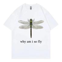 Why Am I So Fly Funny Dragonfly Meme T-shirt High Street Fashion Trend Short Sleeve T-shirts Men Women Casual Oversized T Shirt S įvairiaspalvis