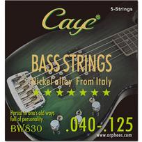 CAYE BW serijos 4/5/6 vnt bosinės stygos BW830/5 string gray