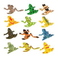 Frogs Collection Rana Bullfrog Treefrog Hornedfrog Toad Squishy Frog Rainforest Animal Figurines Action Figure Toy Kids Gifts
