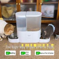 Smart Cat Feeder with AI Recognition: Automatic Water & Food Dispenser, Remote Feeding, 4M HD Camera. Without Metal Bowl (US Plug) gray