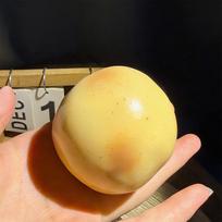 Crunchy Squishy Potato Stress Ball Squeeze Toy Crispy Potato Squishy Fidget Ball Handmade Round Blocks Filled Asmr For Adult