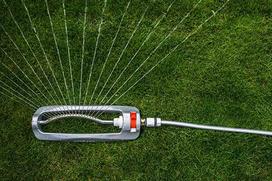 Bradas WL-Z25 irrigation system part/accessory Drip head