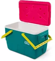 Šaldytuvas IGLOO Retro Picnic Basket 25 (23 litry) one size