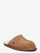 UGG - M Scuff - Šlepetės