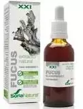 Soria Extracto Fucus S Xxi 50ml