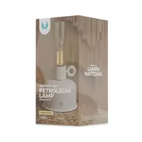 Forever Light Vintage dekoratyvinis LED žibintas