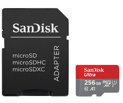 SanDisk microSDHC Memory Card 100MB / 32GB