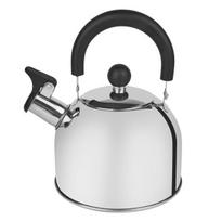 Nerūdijančio plieno virdulys BALL, 2 l, sidabrinis
