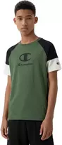 Marškinėliai vaikams Champion SS Tee žalia 307719 GS548 (2XL)