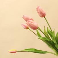 High-end simulated tulip bouquets, home hotel wedding decoration ornaments, photography shooting props, fake flowers rožinė