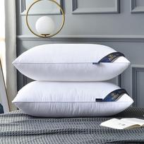 Prabangus penkių žvaigždučių viešbučio plunksnų ir pūkų pagalvių rinkinys - Nemokamas pristatymas ir dovana įskaičiuota 48*74cm 650g Low Pillow balta