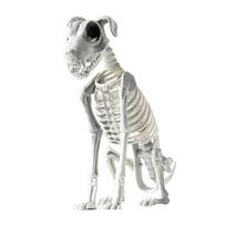 Helovino skeletas gyvūno dekoracija baisus katės/šuns/paukščio/žiurkės/ožkos galvos plastikiniai kaulai kiemui kapinių Helovino dekoras C gray