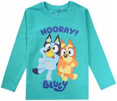 BLUEY DOG boy' blouse LONG SLEEVE cotton GREEN 110 D016Y blue