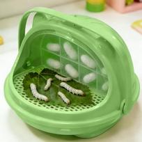 Transparent Silkworm Breeding Box Space Capsule Design Ventilate Silkworm Rearing Kit with Handle Plastic Insect Observation Box rožinė