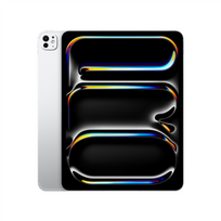 iPad Pro 13" M5 Wi-Fi + Cellular 2TB with standard glass - Silver