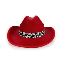 Cow Print Brim Kids Cowboy Hat Western Style Children's Costume Hat  Carnival Parties tamsiai ruda spalva
