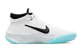 Nike Team Hustle D 10 Flyease Slip Resistant, Abrasion Resistant, Breathable Low top Basketball Shoes White Blue Unisex DD7303-102 38