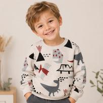 Boys Neck Long Sleeve Sweatshirt Pullover Top for Casual Daily Wear 100