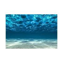 Povandeninio pasaulio fantazijos vandenyno akvariumo teminė fotografija Fono audinio nuotrauka Fono sienų dekoras 225*150cm / 7*5ft