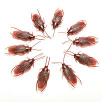 10Pcs Prank Funny Trick Joke Toys Special Lifelike Model Simulation Fake Rubber Cockroach Cock Roach Bug Roaches Toy brown