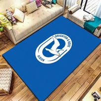 Brighton & Hove Albion Carpet Rug for Living Room Bedroom Home Sofa Decoration,Kids play Non-slip Floor Mat 40x60cm( 15x23in )