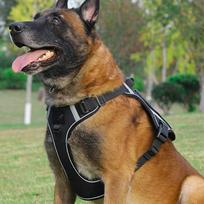 Reguliuojama šuns pakinktų liemenė su pavadėliu Vidutinio ir didelio dydžio veislėms Nevelkanti Taktinio stiliaus 4 spalvos M: 30-50 lbs
