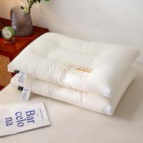 Pair of Pure Cotton Soybean Protein Fiber Pillows - Neck Support for Home, Dorm, Hotel 48x74cm white