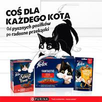 Purina Nestle PURINA Felix Fantastic in jelly Box - wet cat food - 44x85g