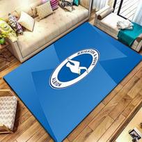 Brighton & Hove Albion Carpet Rug for Living Room Bedroom Home Sofa Decoration,Kids play Non-slip Floor Mat 80x120cm( 31x47in)