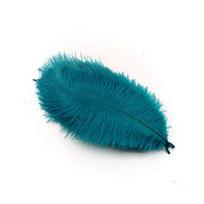 10 vnt. Stručio plunksnos, pasidaryk pats, valgomojo stalo centriniai elementai Dekoravimo priedai Papuošalai Vestuviniai rankdarbiai Rankdarbiai 15-20cm-6-8inch blue