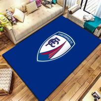 Chesterfield F.C Carpet Rug for Living Room Bedroom Home Sofa Decoration,Kids play Non-slip Floor Mat 40x60cm( 15x23in ) white