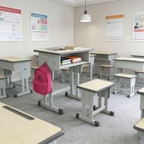 Aukščio reguliuojamas rašomasis stalas ir kėdė mokyklai ir namams gray