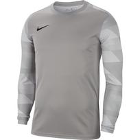 Megztinis vartininkas vyrai Nike Dry Park IV JSY LS GK pilka CJ6066 052