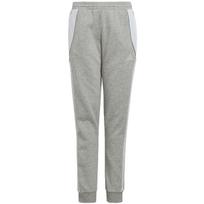 Kelnės vaikams adidas Tiro 24 Sweat grey IS1009