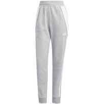 Kelnės moteriškos adidas Tiro 24 Sweat grey IS1011