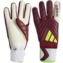 Pirštinės vartininkas adidas Copa GL League bordo IQ4012