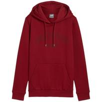 Megztiniai moteriški Puma Ess  logotipas LAB Hoodie FL bordo spalvos 682987 13