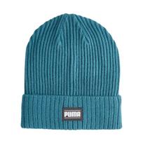 Kepurėlė Puma rimbuotas klasikinis rankogalis beanie turquoise 024038 11