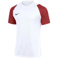 Vyriški marškinėliai Nike Dri-Fit Academy II baltai-bordo HV8160 102