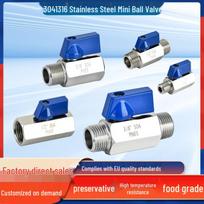 Stainless Steel Mini Ball Valve 304/316, High Temp/Pressure 1/2 Double Male Thread