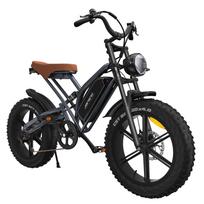 Fat Tire Electric Bike JANSNO 1000W Motor 48V 17Ah Battery X50