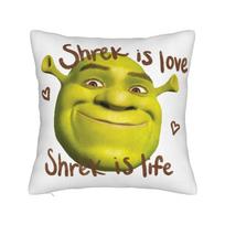 Shreks Smile Memes Square Pillow Case Cartoon Cushion Covers Awesome Zipper Decor Pillowcover for Seat 18 x18 12x12Inch brown