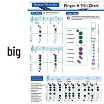 Recorder Chord Fingering Charts & 8-Hole Scores with Scant Tables gray
